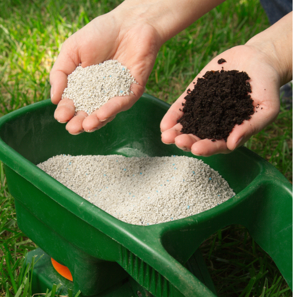 Hybrid vs. Organic Seeds – What’s Best for You?