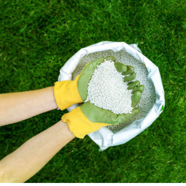 How to Choose the Best Fertilizer for Your Crops?